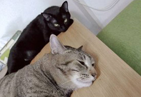 [写真]
